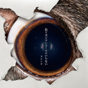 俄罗斯综合偷窥图
